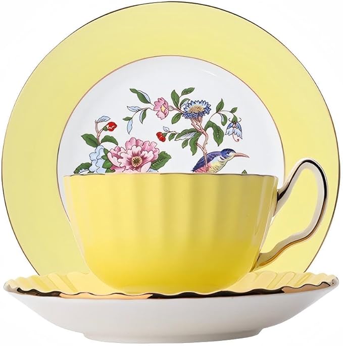 Aynsley Handpainting Colored Glaze Pembroke Oban Fine Bone China English Tea Cup and Saucer Set, 6.1 oz (Yellow)