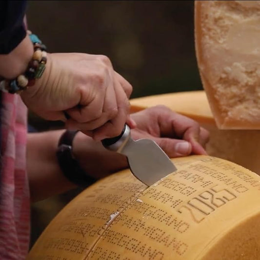 BOSKA Parmesan Knife Pro 110mm - Premium quality - Stainless steel - For Hard Cheeses like Parmesan - 1896 collection