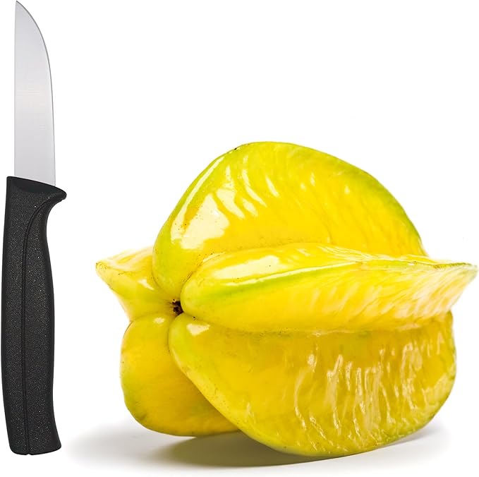 Paring Knife 3 Inch - MATTSTONE HILL Peeling Knife, Garnishing Knife, Perfect for Cut, Peel and Clean Food. Slim Blade, Premium Stainless Steel, Semi Soft Handle, Black