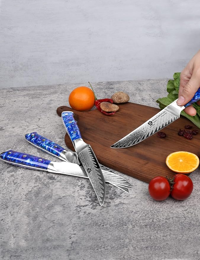WILDMOK Steak Knives, 5 inch Non Serrated Steak Knife Set of 4, Japanese Damascus VG10 Steel Steak Knives,Premium Steak Knives Set with Gift Box