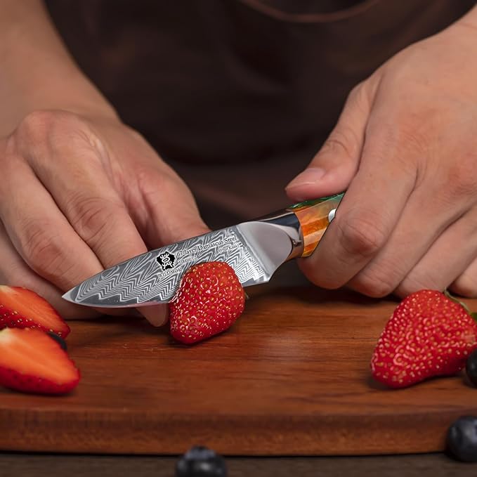 WILDMOK Damascus Paring Knife, 3.5 Inch Japanese 67 Layers Damascus Steel Fruit Knife, Ultra Sharp Resin Handle