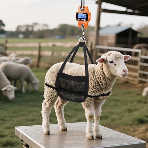 RoMech 660lb Digital Hanging Scale with Cast Aluminum Case, Handheld 300Kg Mini Crane Scale with Hooks for Farm Hunting Fishing Outdoor (Orange)