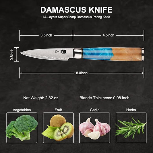 Classic Paring Knife 3.5 Inch, Japanese VG10 Steel Damascus Fruit Knife, Sharp Small Kitchen Knife with Gift Box and Resin Wood Handle,Ideal Birthday Gift for Men and Women