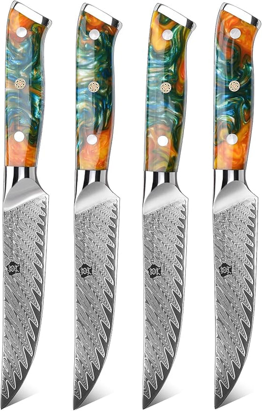 WILDMOK Steak Knives, 5 inch Non Serrated Steak Knife Set of 4, Japanese Damascus VG10 Steel Steak Knives,Premium Steak Knives Set with Gift Box