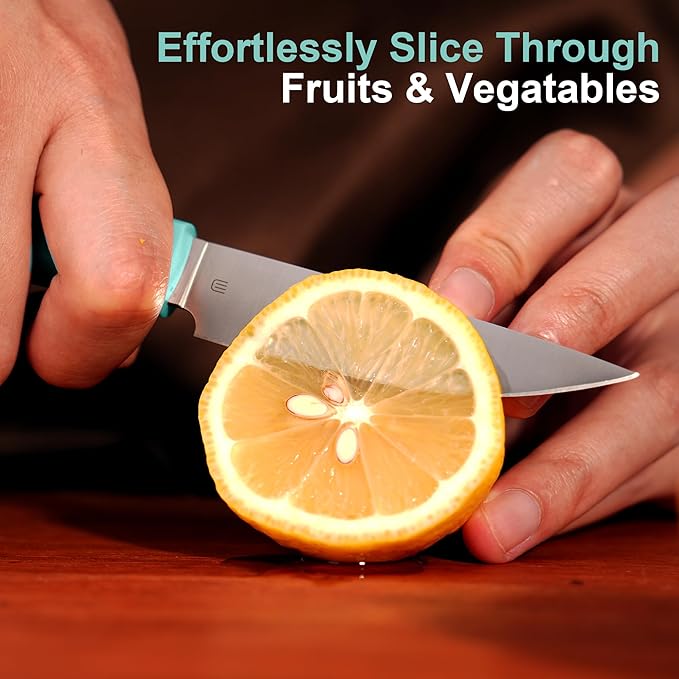 3.5 Inch Paring Knife, AR-RPM9 Steel Fruit Vegetable Knife with Ergonomic ABS Handle Oak Sheath, Ultra Sharp Kitchen Knife for Peeling Coring Cutting, Gift for Home Chefs