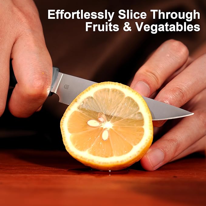 3.5 Inch Paring Knife, AR-RPM9 Steel Fruit Vegetable Knife with Ergonomic ABS Handle Oak Sheath, Ultra Sharp Kitchen Knife for Peeling Coring Cutting, Gift for Home Chefs