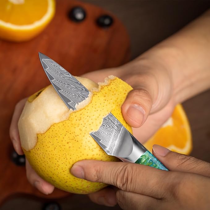 WILDMOK Paring Knife 3.5 Inch, 67 layers Damascus Steel VG 10 Blade Fruit Knife, Small Kitchen Knife, Perfect for Cutting Fruit Vegetables Petty Knife