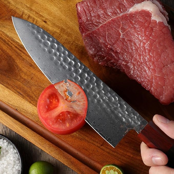 Professional 8 inch Japanese Chef Knife,67 Layers Damascus VG-10 Super Steel Cutting Core - Ultra Sharp Hammered Chef's Knife