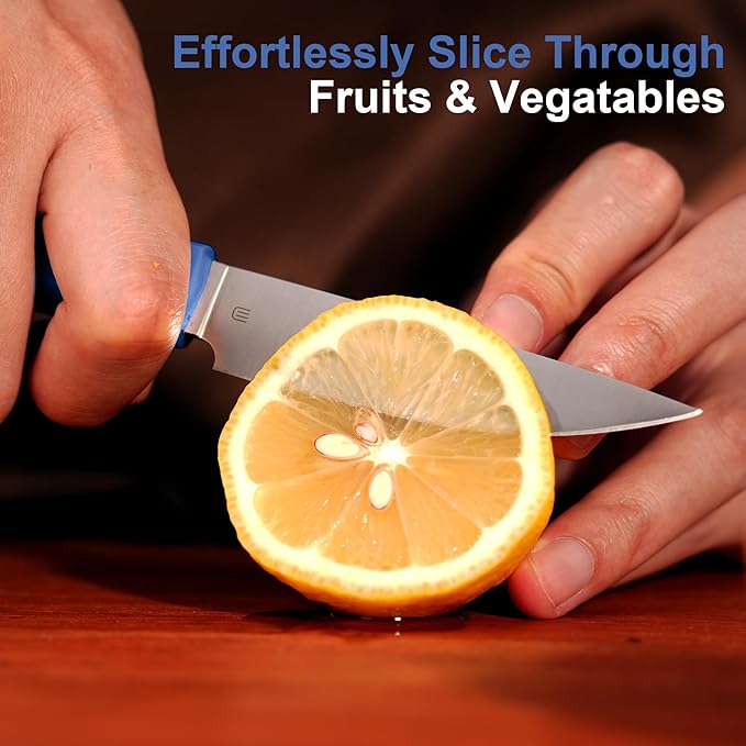 3.5 Inch Paring Knife, AR-RPM9 Steel Fruit Vegetable Knife with Ergonomic ABS Handle Oak Sheath, Ultra Sharp Kitchen Knife for Peeling Coring Cutting, Gift for Home Chefs