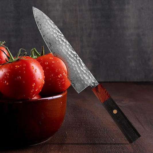 Professional 8 inch Japanese Chef Knife,67 Layers Damascus VG-10 Super Steel Cutting Core - Ultra Sharp Hammered Chef's Knife