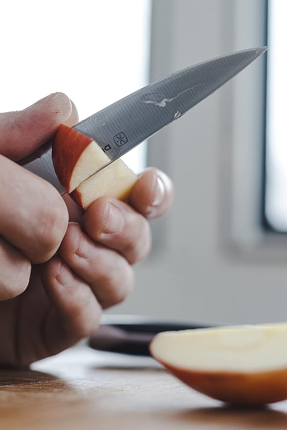 3.5 Inch Paring Knife – Essential High Carbon Stainless Steel, Razor-Sharp, Multipurpose Small Kitchen Knife, Ergonomic Handle, Perfect for Precision Tasks, Sleek Gray Design
