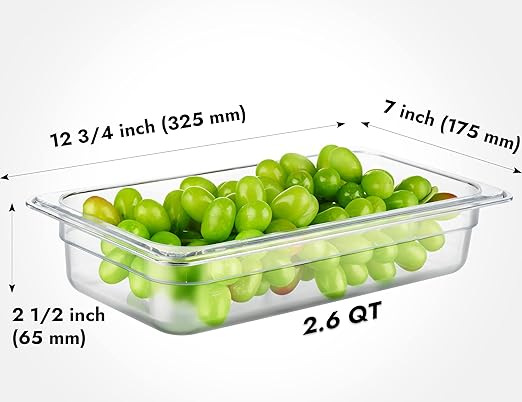 CURTA 6 Pack NSF Food Pans, 1/3 Size 2 1/2 Inch Deep, Commercial Polycarbonate Plastic Clear Freezer-Safe