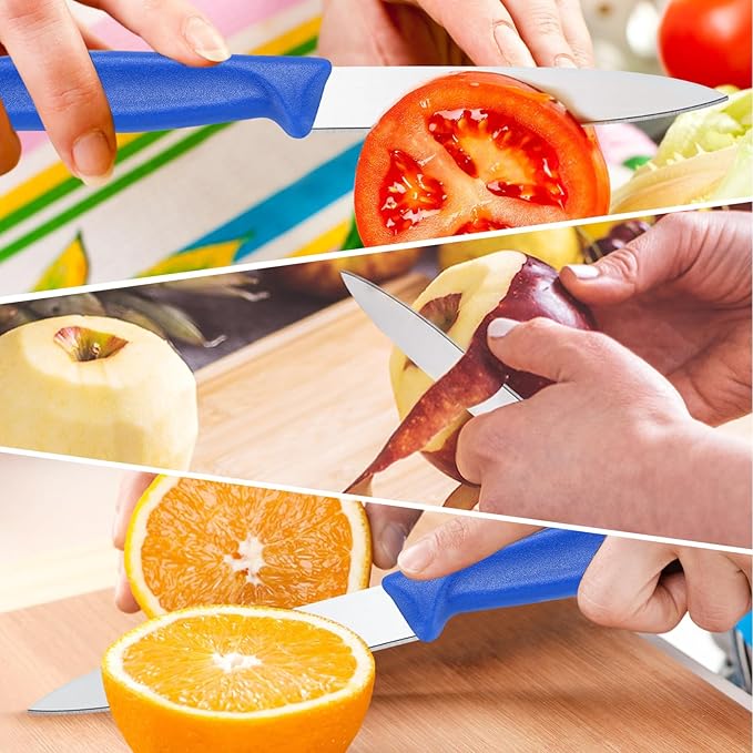 BEWOS Paring Knife, Straight Edge Paring Knives Set of 4, Ergonomic Handle, Ultra Sharp Kitchen Knife, Colorful PP Plastic Handle, 4.1-inch Pointed Tip (Orange, Yellow, Blue, Green)