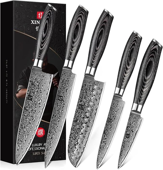XINZUO 5-Piece Kitchen Knife,Super Sharp Damascus Steel Professional Chef Knife Set with Pakkawood Handle, Gift Box