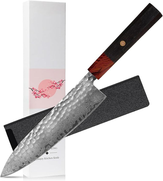 Professional 8 inch Japanese Chef Knife,67 Layers Damascus VG-10 Super Steel Cutting Core - Ultra Sharp Hammered Chef's Knife