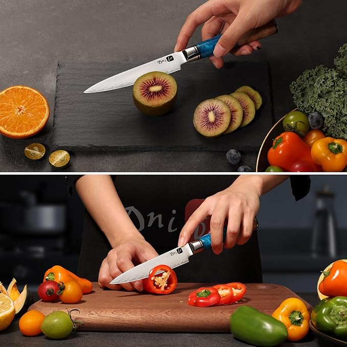 Kitchen Utility Knife 5 Inch, Japanese VG10 Steel Damascus Paring knife, Small Kitchen chef Knife with Gift Box and Resin Wood Handle, Ideal Birthday Gift for Men and Women