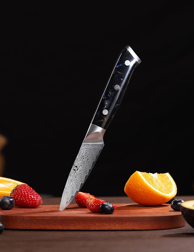 WILDMOK Damascus Paring Knife, 3.5 Inch Japanese 67-layers Damascus Steel, Professional Paring Knife, Ultra Sharp Blade Cooking Utility Knife, Full Tang Ergonomic Resin Handle