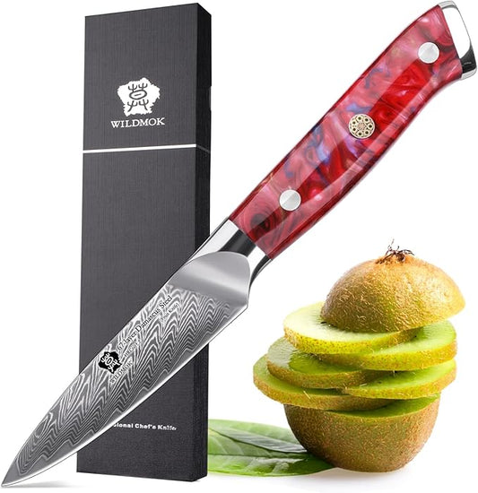 WILDMOK Damascus Paring knife, 3.5 inch sharp fruit Japanese 67 layer Damascus steel knife for carving and peeling knife, Resin handle with gift box