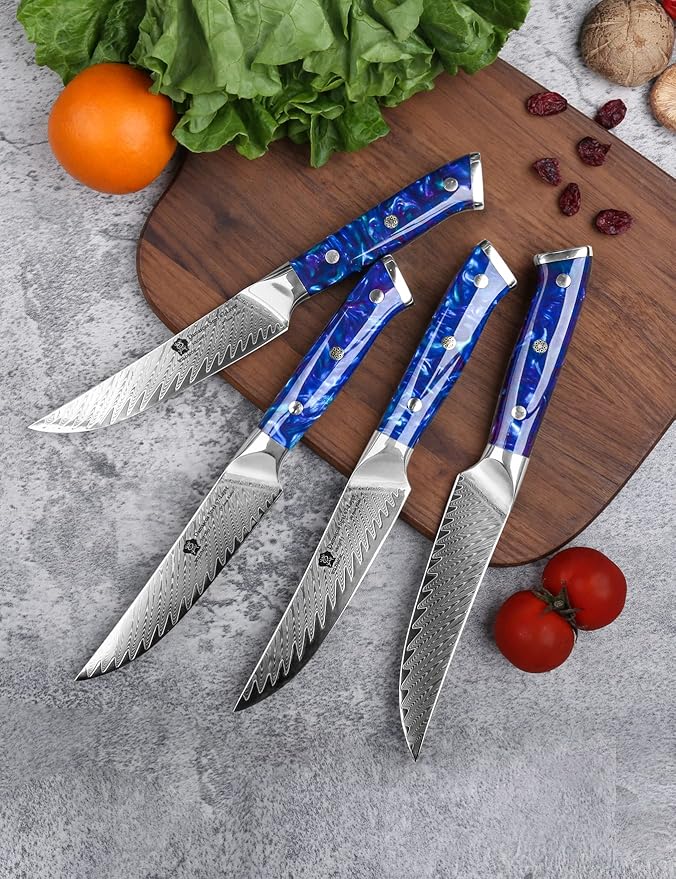 WILDMOK Steak Knives, 5 inch Non Serrated Steak Knife Set of 4, Japanese Damascus VG10 Steel Steak Knives,Premium Steak Knives Set with Gift Box