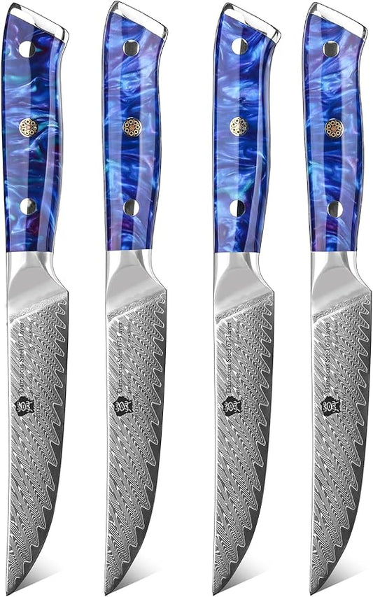 WILDMOK Steak Knives, 5 inch Non Serrated Steak Knife Set of 4, Japanese Damascus VG10 Steel Steak Knives,Premium Steak Knives Set with Gift Box