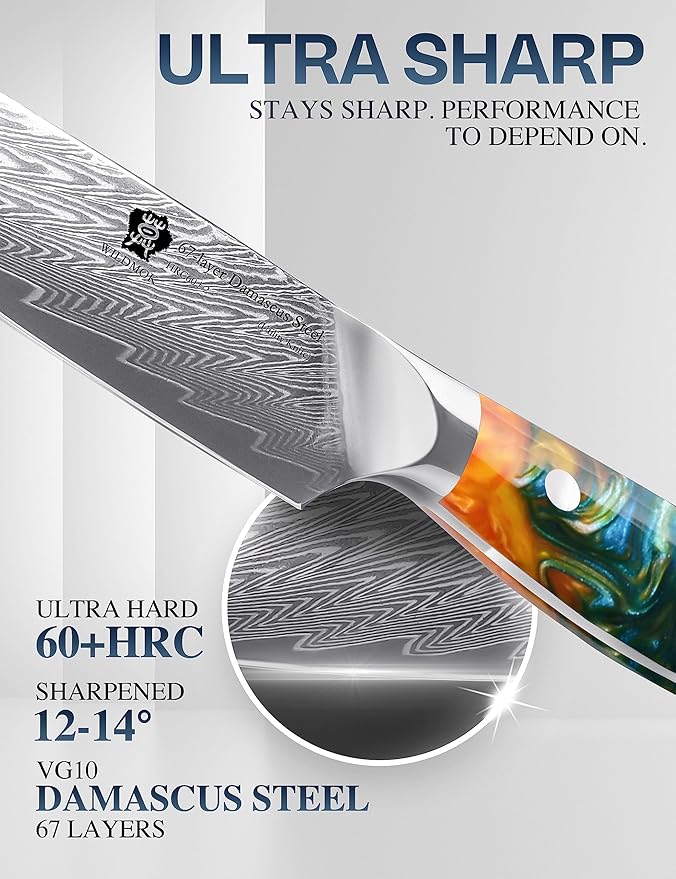 WILDMOK Damascus Paring Knife, 3.5 Inch Japanese 67 Layers Damascus Steel Fruit Knife, Ultra Sharp Resin Handle