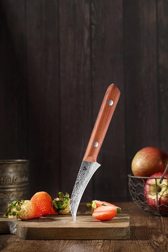 3.5" Paring Knife Damascus Steel Peel Chef Knife - 67-Layer Forged Fruit/Vegetable Knife with Natural Solid Wood Handle, 15° Double-Edged Blade, Ultra-Sharp & Corrosion Resistant