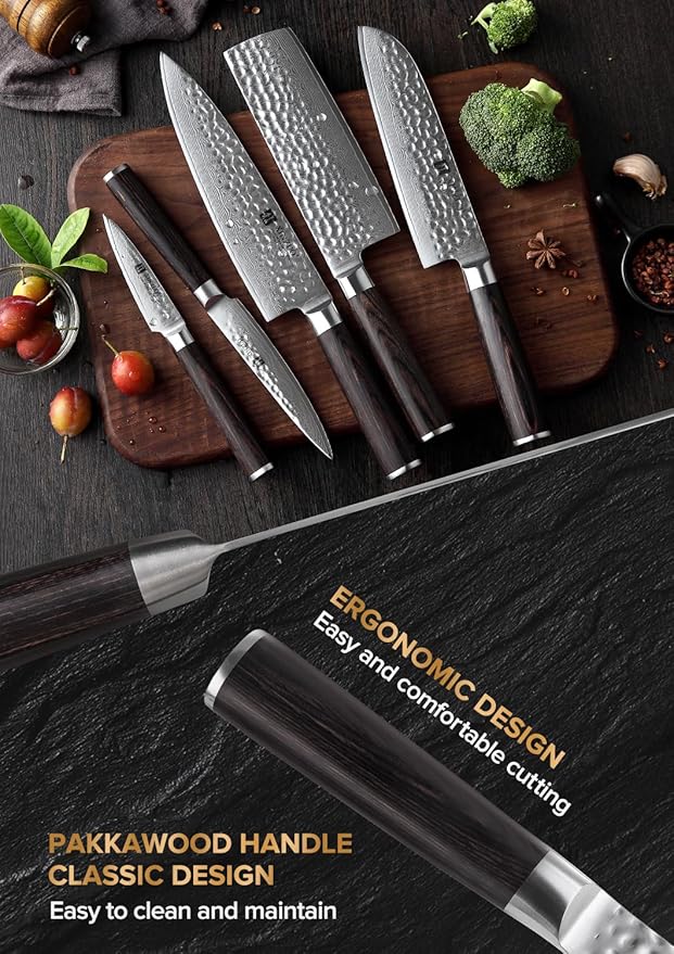 XINZUO Kitchen Cutting Knife Set of 5 Piece,67 Layers Hammered Damascus Blade,Razor Sharp Japanese-Style Chef Knife Set with Pakkawood Handle,Gift Box