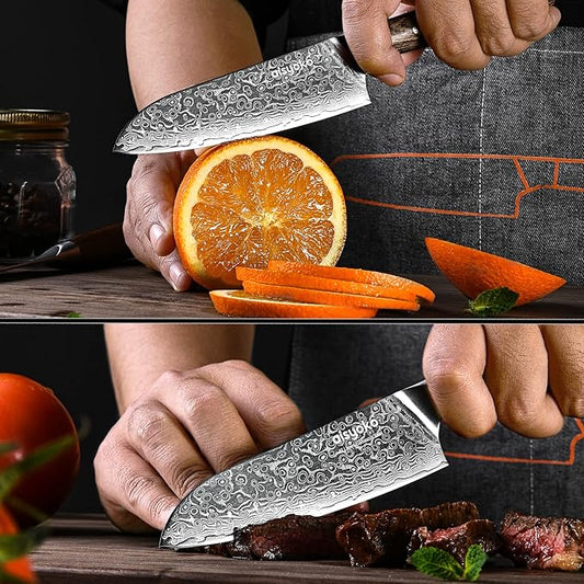 Santoku Knife 5 inches-Japan VG-10 Super Steel 67 Layer Damascus Steel-Sharp Kitchen Knife-Luxury Gift Box with Colored Wooden Handle-With Scabbard