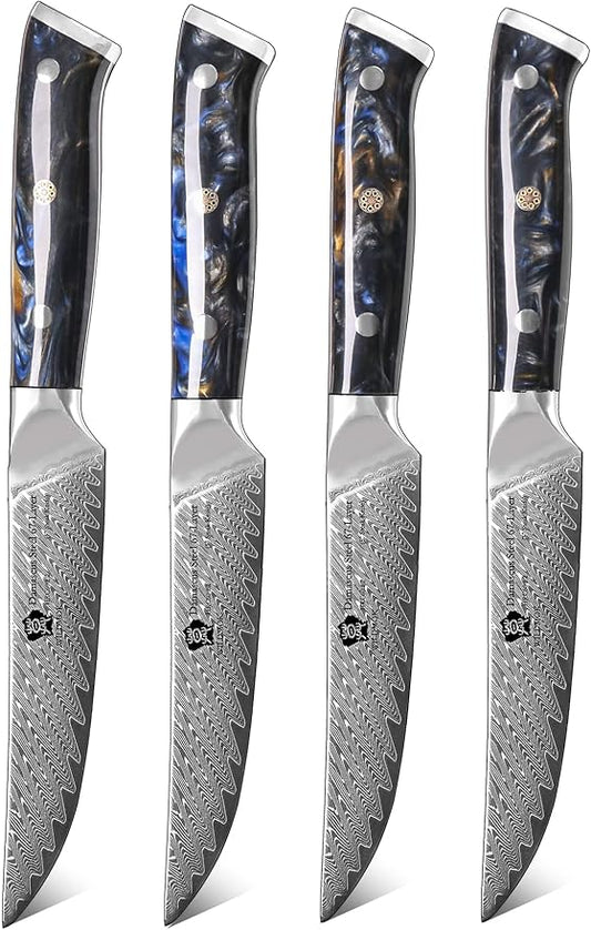 WILDMOK Steak Knives, 5 inch Non Serrated Steak Knife Set of 4, Japanese Damascus VG10 Steel Steak Knives,Premium Steak Knives Set with Gift Box
