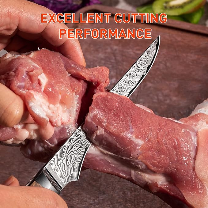 Boning Knife 5.5 inch Damascus VG-10 Super Steel 67-Layer Damascus with Hexagon Natural Wood Handle, Deboning knife - Stiff Blade