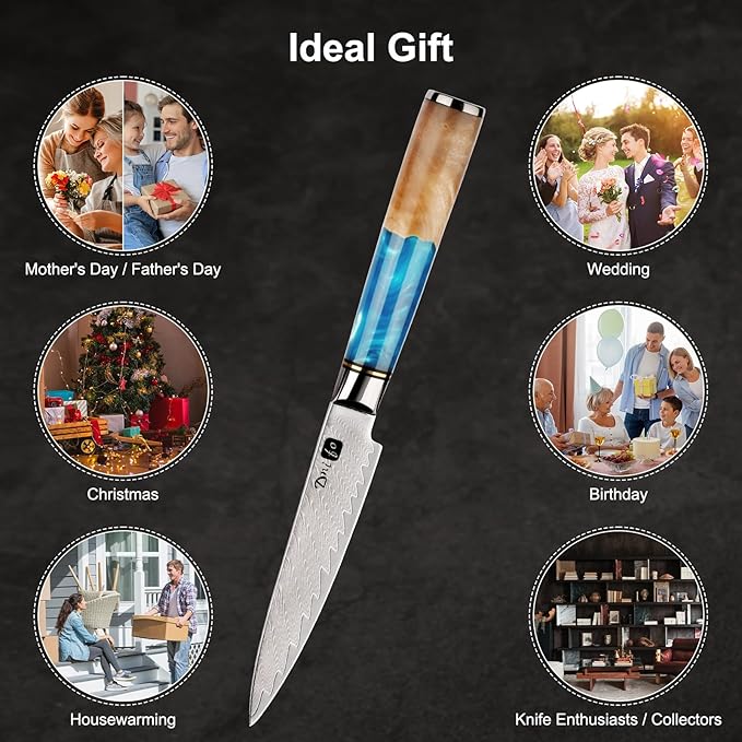 Kitchen Utility Knife 5 Inch, Japanese VG10 Steel Damascus Paring knife, Small Kitchen chef Knife with Gift Box and Resin Wood Handle, Ideal Birthday Gift for Men and Women