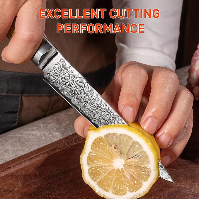 Kitchen Utility Knife 5 inch Damascus Small Chef Knife 67-Layer Damascus VG10 Steel Ultra Sharp Professional Paring Knife with Hexagon Natural Wood Handle