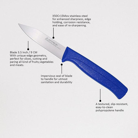 Paring Knife - MATTSTONE HILL 3.5 Inch Paring Knife, Small Kitchen Utility Knife, Premium German Steel Blade, Bule Handle