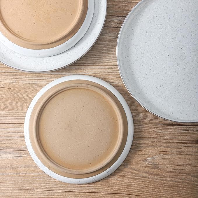 Ceramic Dinner Plates Set of 4