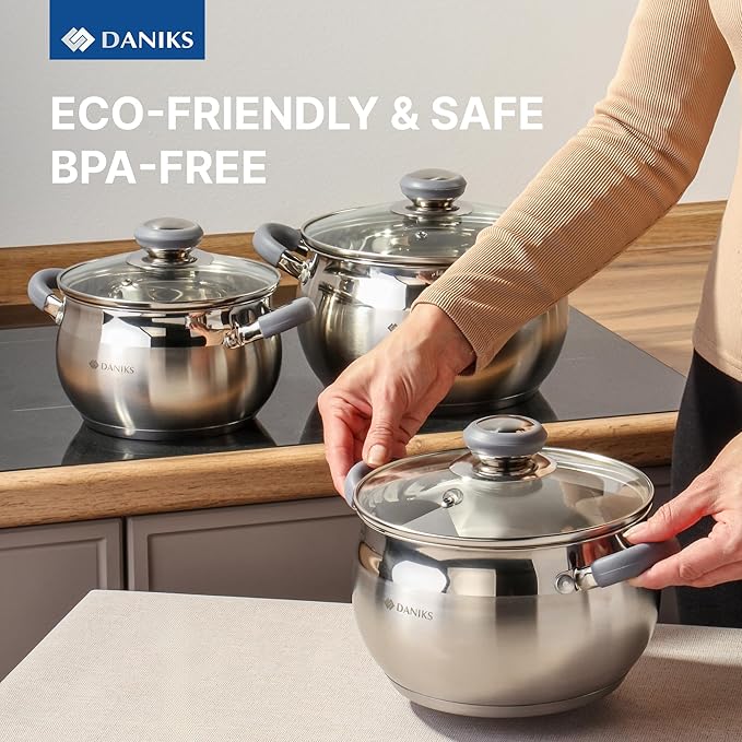 Daniks Modern 6-Piece Stainless Steel Induction Cookware Set – Dishwasher Safe Pots with Heatproof Handles, Glass Lids, Silver