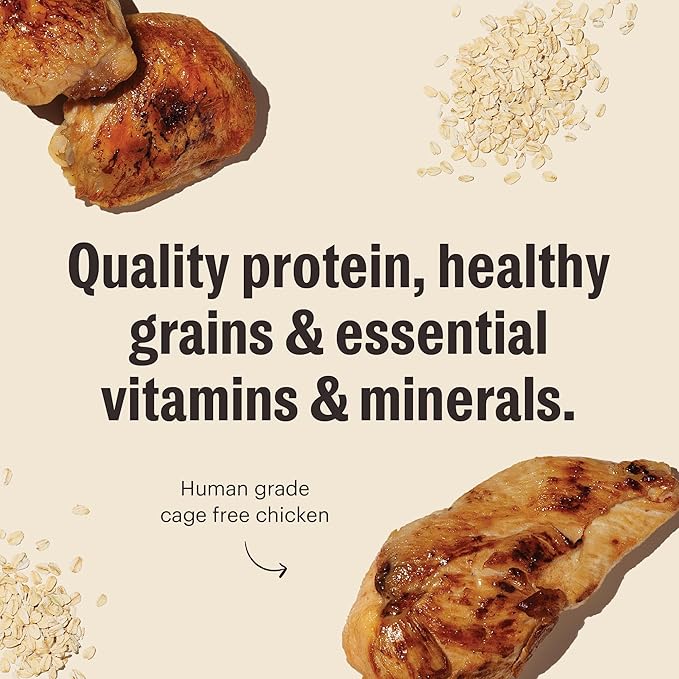 The Honest Kitchen Essential Clusters Dog Whole Grain Chicken 5 lb Bag