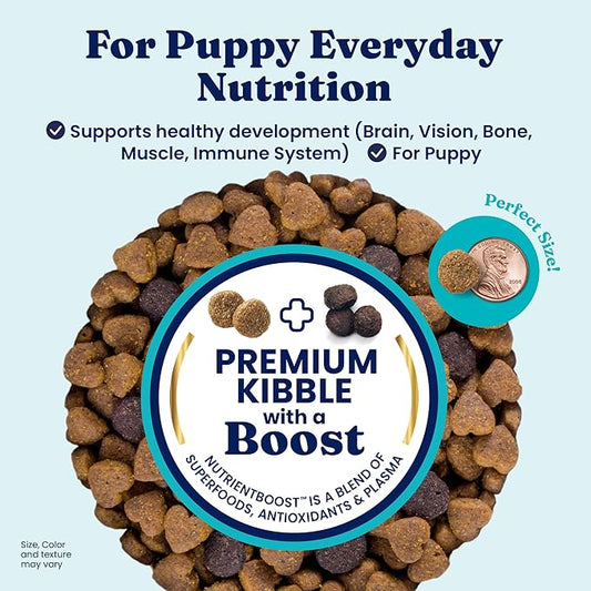Solid Gold Chicken Dry Puppy Food - W/Real Chicken & Potato - Grain Free & Gluten Free Puppy Dog Food w/Probiotics for Gut Health & Digestion - Healthy Kibble for Puppies - Nutrientboost™ - 3.75 LB