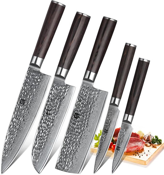 XINZUO Kitchen Cutting Knife Set of 5 Piece,67 Layers Hammered Damascus Blade,Razor Sharp Japanese-Style Chef Knife Set with Pakkawood Handle,Gift Box