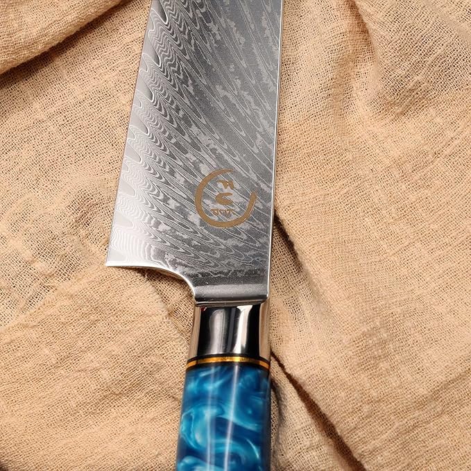 Chef Knife 8 inch, Damascus Chef Knife Japanese VG10 Core Steel with 66-Layers High Carbon Professional Sharp Chefs Knife 8" Blade Ergonomic Beautiful Blue Resin Handle Gift Boxed