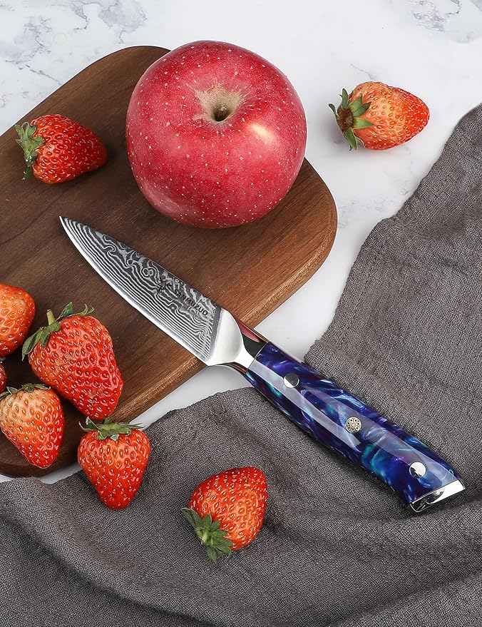 3.5 Inch Paring Knife - Kitchen Fruit Peeling Knife Damascus Steel & Resin Handle - Xuan Series(Sapphire Blue)