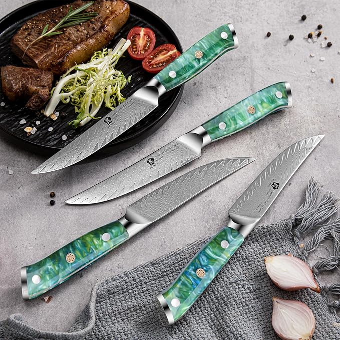 WILDMOK Steak Knives, 5 inch Non Serrated Steak Knife Set of 4, Japanese Damascus VG10 Steel Steak Knives, Dishwasher Safe Steak Knives, Premium Steak Knives Set with Gift Box