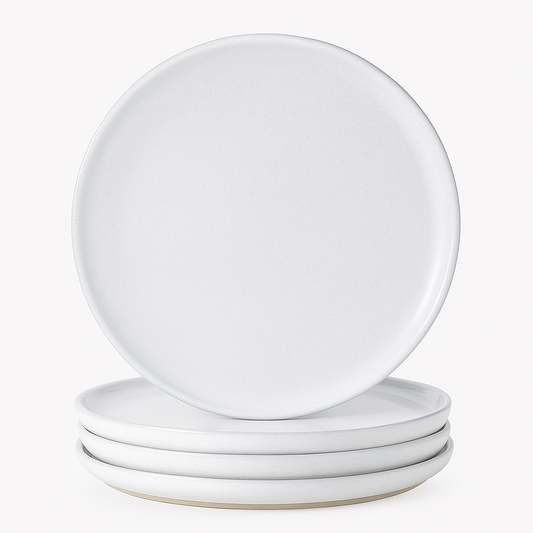 Ceramic Dinner Plates Set of 4