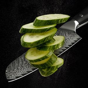 Arisman 7 Inch Santoku Knife, Japanese Damascus Steel Chef Knife, Sharp VG10 Kitchen Slicing Knife with Feather Pattern Blade and Full Tang Ergonomic G10 Handle