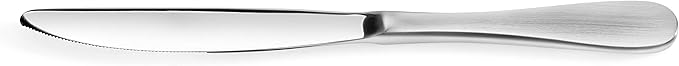 Artaste 1029086 Rain Stainless Steel Dinner Knife, Matte Finish Handle, 12-Piece