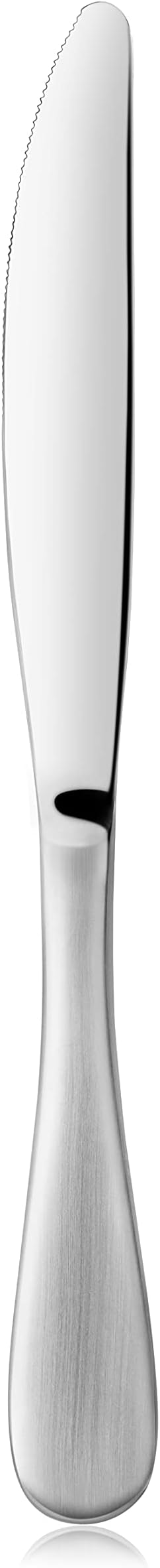 Artaste 1029086 Rain Stainless Steel Dinner Knife, Matte Finish Handle, 12-Piece