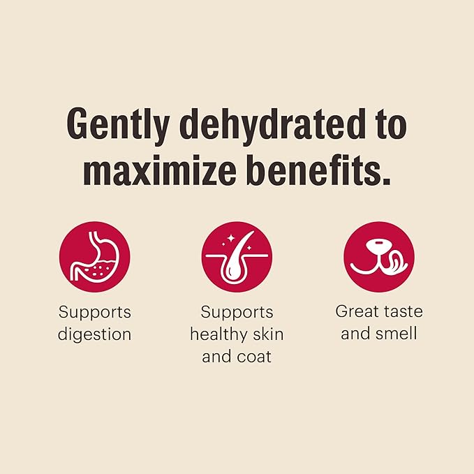 The Honest Kitchen Wholemade™ Grain Free Beef Dog Food, 10 lb Box