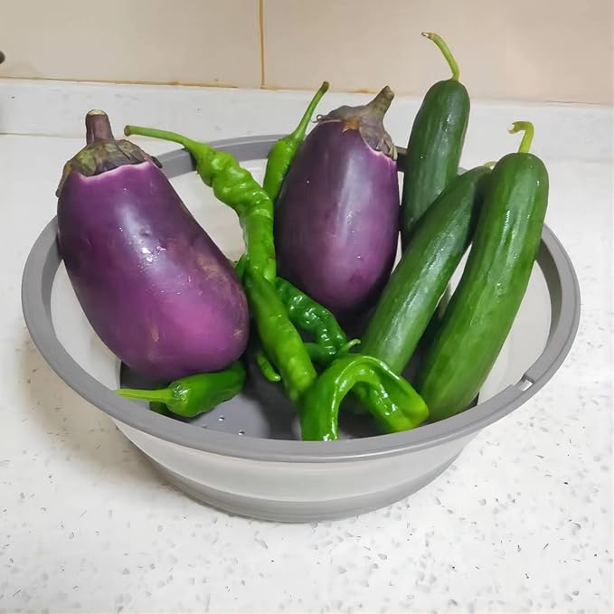 WENWELL Vented Collapsible Microwave Splatter Cover for Food,Kitchen Gadget dish bowl Plate Proof lid Can be Hung,Dishwasher-Safe,BPA-Free Silicone & Plastic,10.5 inchs,gray