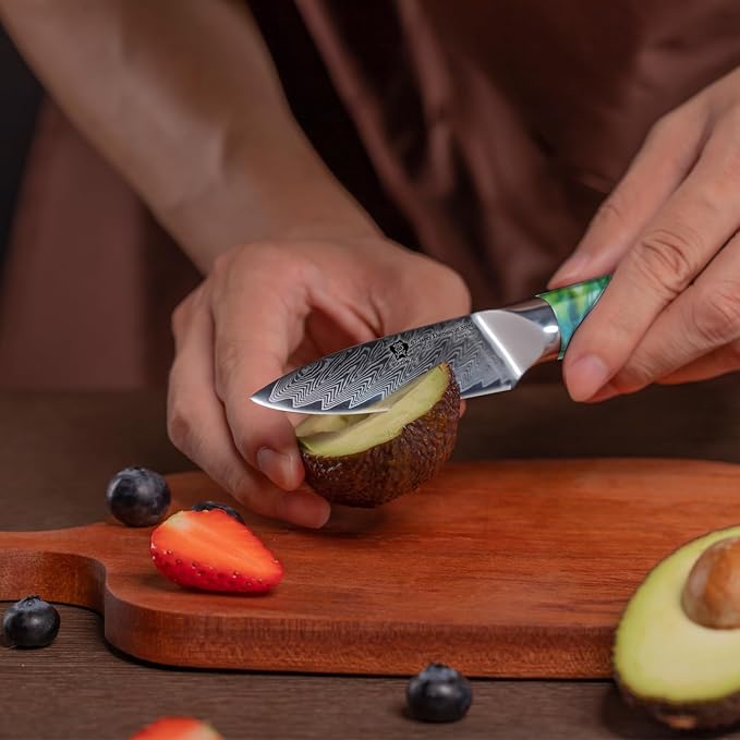 WILDMOK Paring Knife 3.5 Inch, 67 layers Damascus Steel VG 10 Blade Fruit Knife, Small Kitchen Knife, Perfect for Cutting Fruit Vegetables Petty Knife