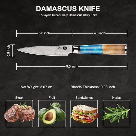 Kitchen Utility Knife 5 Inch, Japanese VG10 Steel Damascus Paring knife, Small Kitchen chef Knife with Gift Box and Resin Wood Handle, Ideal Birthday Gift for Men and Women