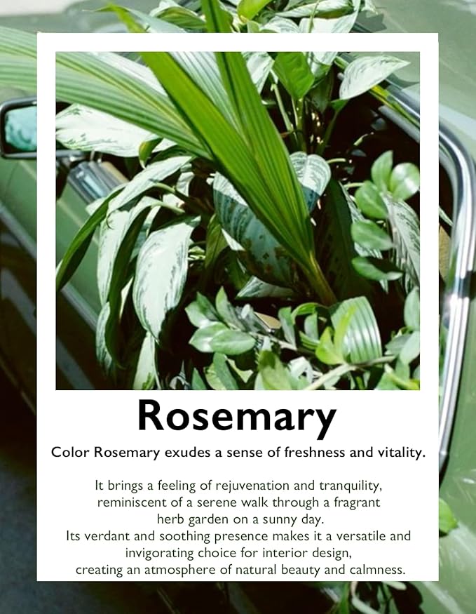 LeGourmet Nonstick Rectangle Baking Pan 9x13 Inch, Ceramic Coating, Non-Toxic, Rust Resistant Aluminized Steel, Perfect Baking Dish for Brownie Cake, Roasting, Lasagna - Rosemary